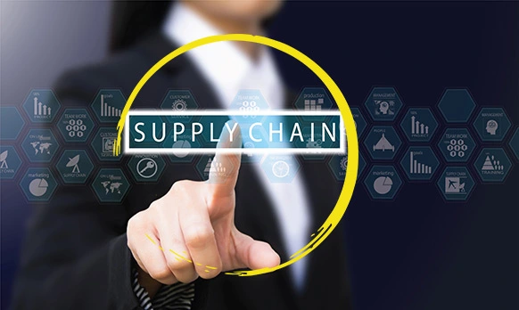 Intrinseque Health - Supply Chain Strategy Development Services.